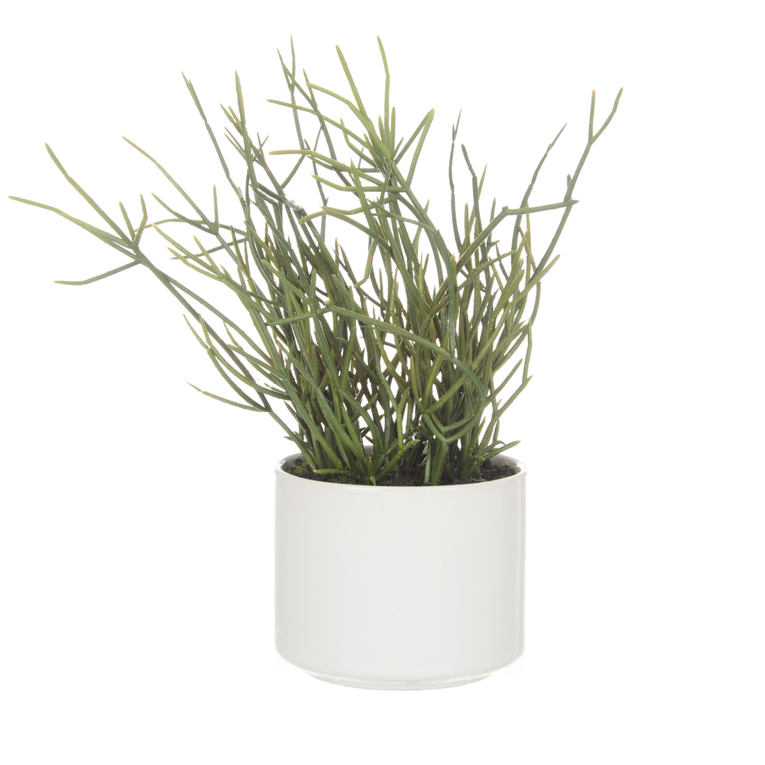 Faux Mistletoe Cactus - White Pot | 32cm