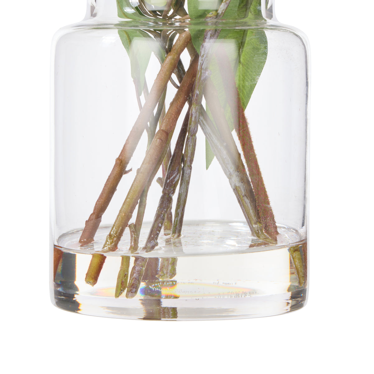 Rogue Pitaya Kangaroo Paw - Pail Vase Pink
