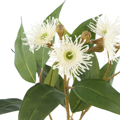 Rogue Eucalyptus Flower Spray White