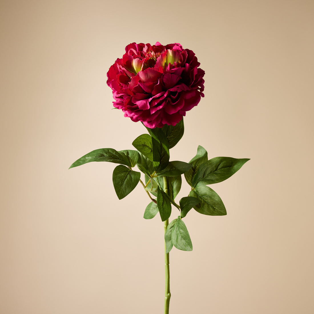 Faux Peony Stem | Burgundy - 73cm