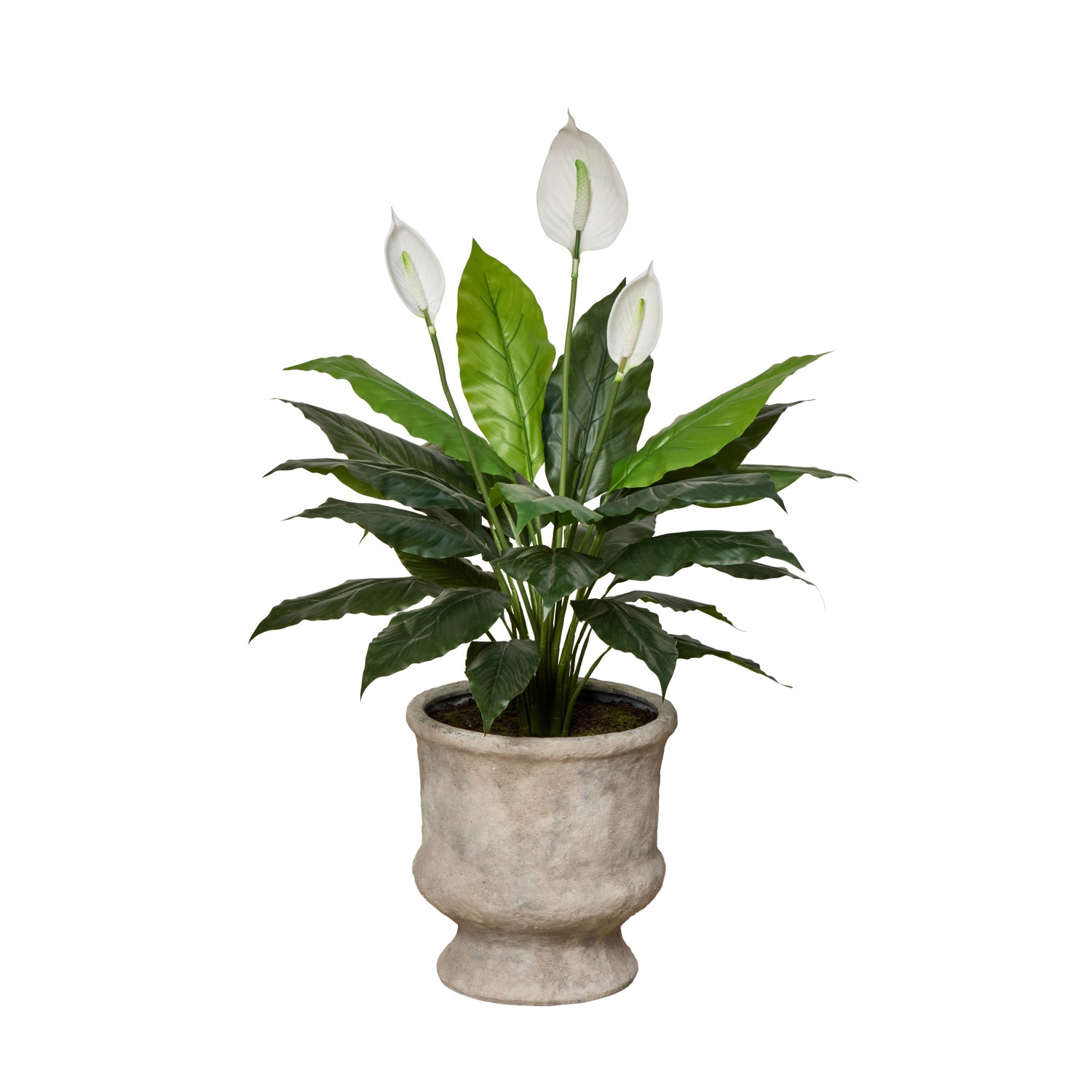 Faux Peace Lily - Lille Planter | Green - 108cm