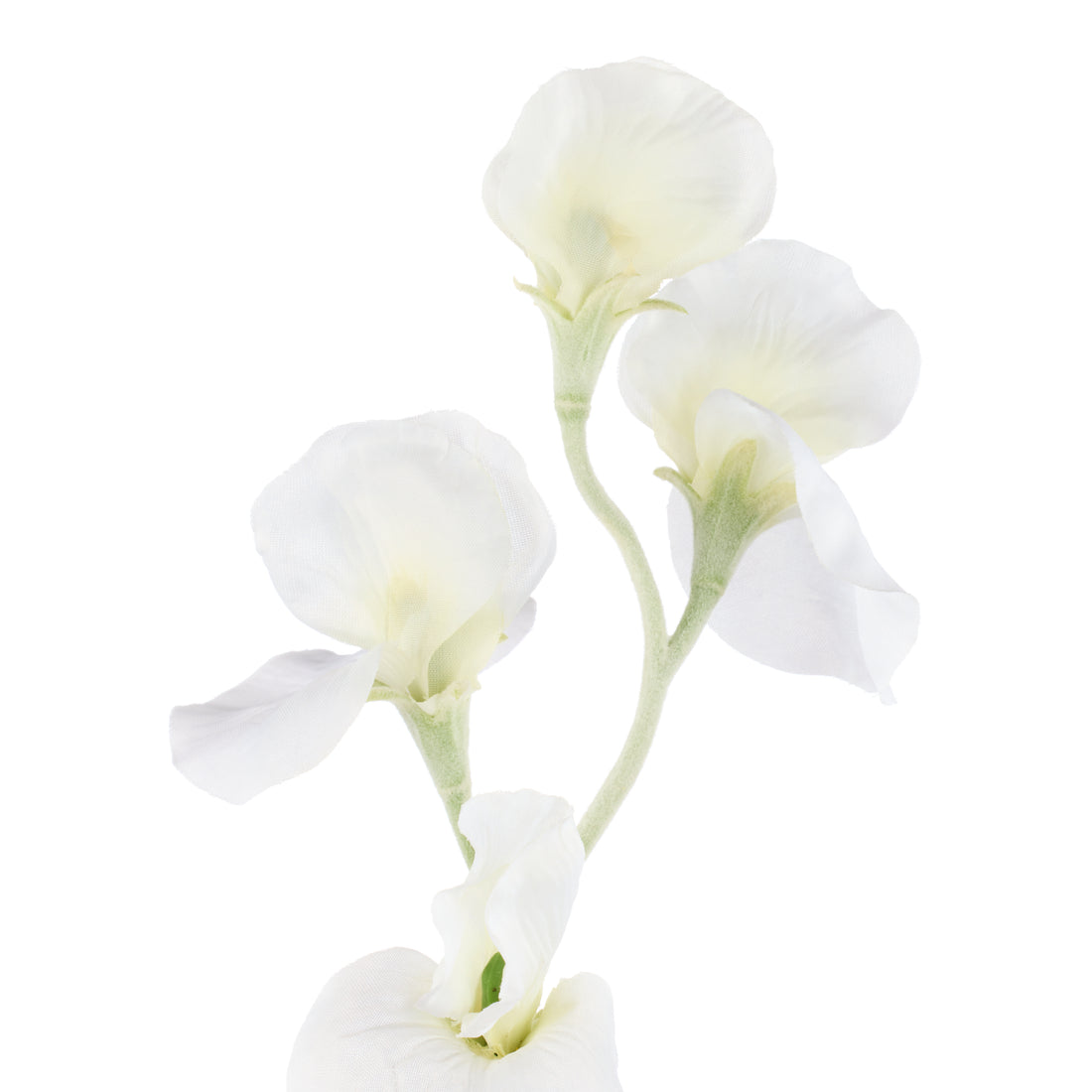 Faux Sweet Pea Spray | Cream - 64cm