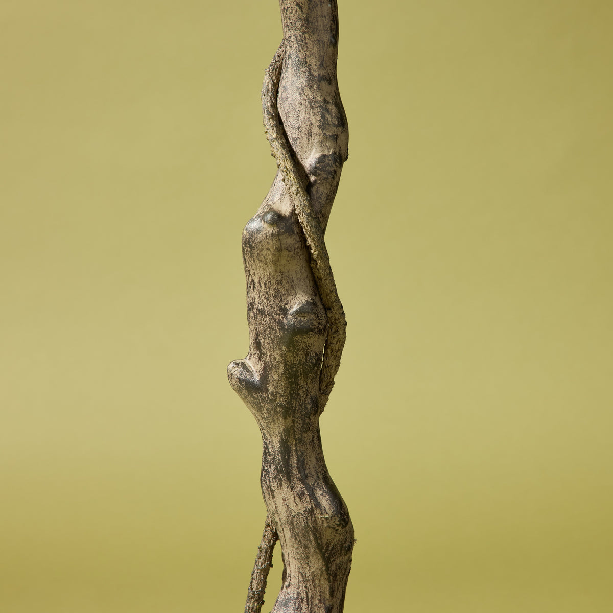 Faux Ginkgo Tree - Garden Pot | 173cm