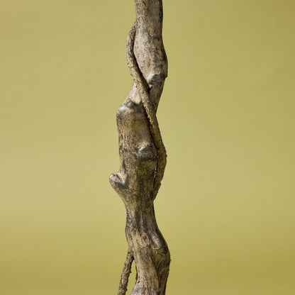 Faux Ginkgo Tree - Garden Pot | 173cm