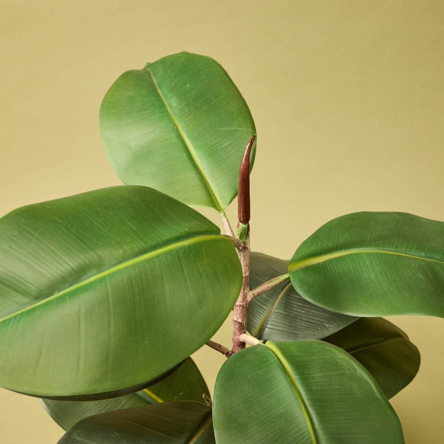 rubber tree artificial Artificial Rubber Leaf Tree | 62cm