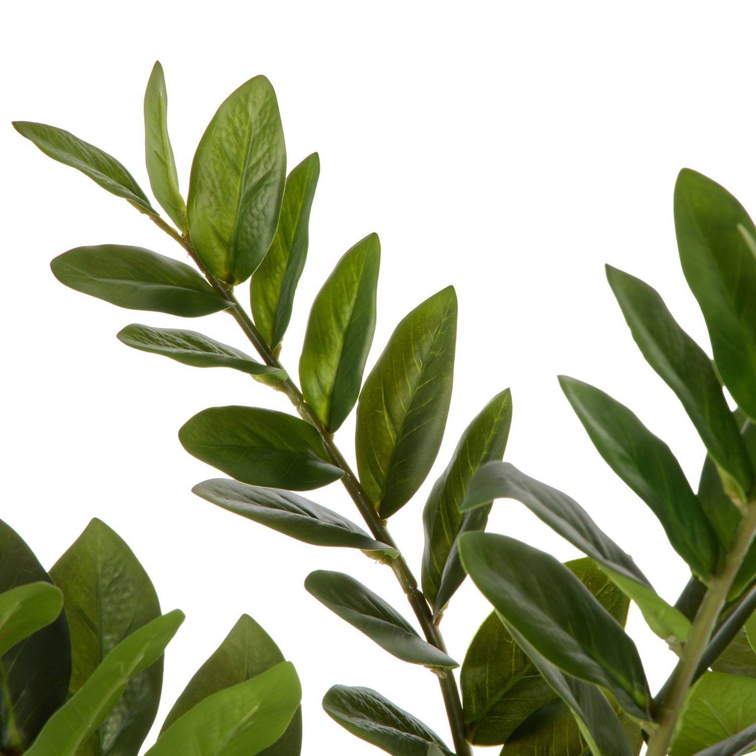 Faux Zanzibar - Nora Pot | Green -  95cm