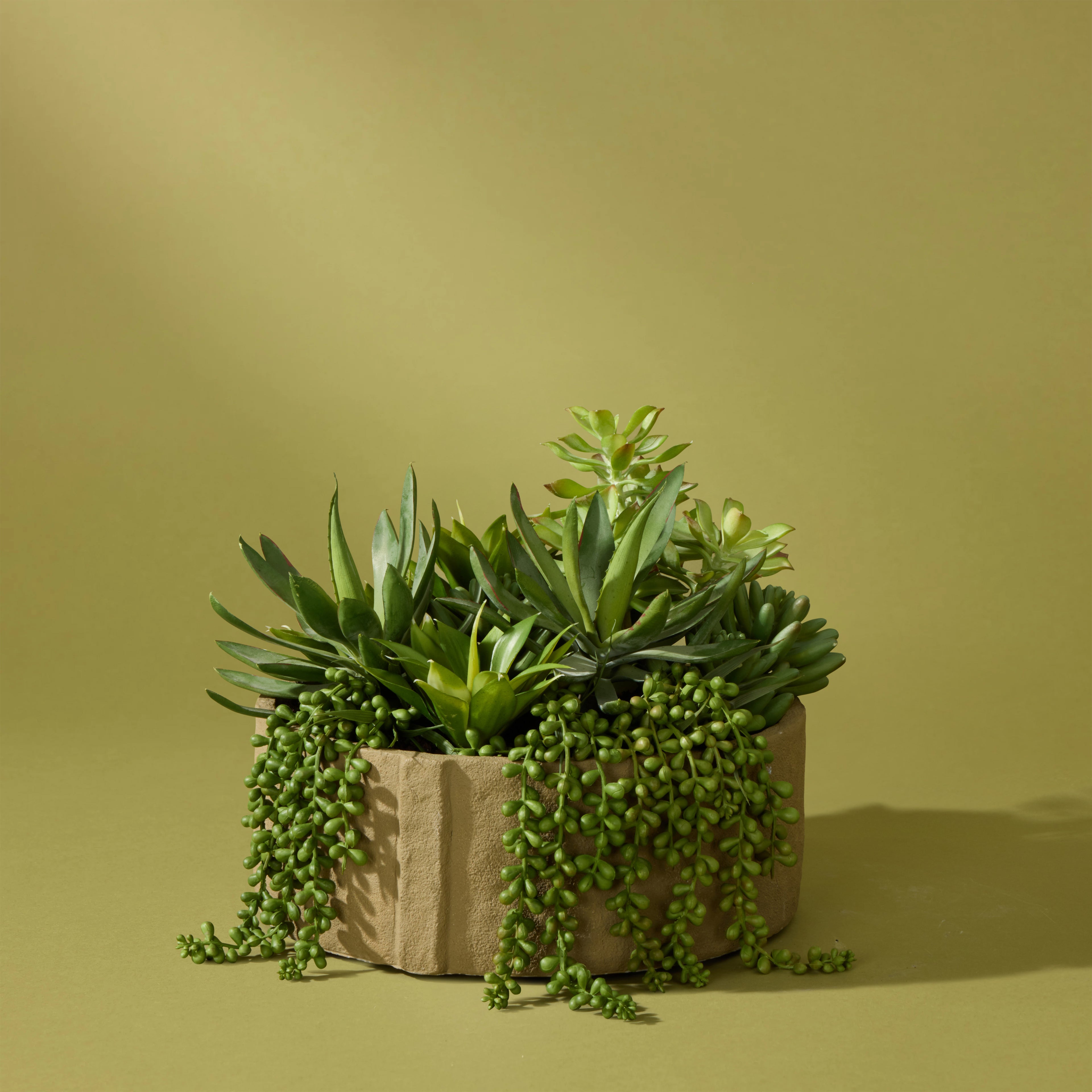 Faux Succulent Mix  - Danvers Pot | 28cm