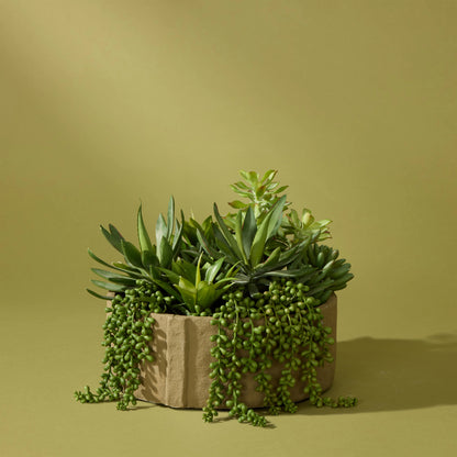 Faux Succulent Mix  - Danvers Pot | 28cm