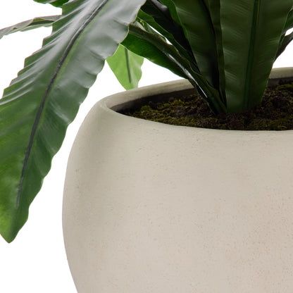 Faux Birds Nest Fern UV Treated - Lyon Planter | Green  - 55cm