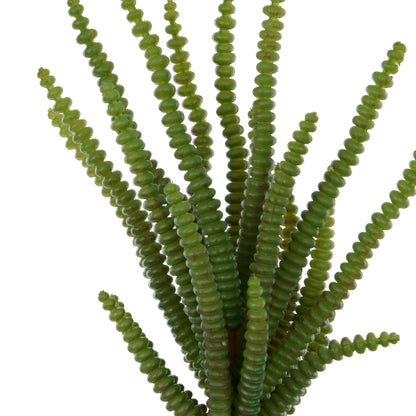 Faux Watch Chain Spray | Green - 5cm