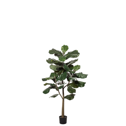 Rogue Fiddle Tree Green