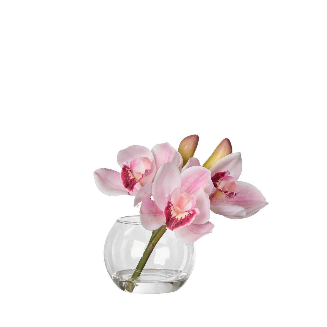 Faux Cymbidium - Glass Vase | Pink -  16cm