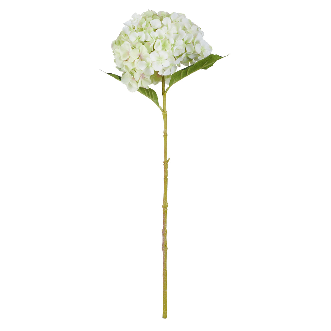 Rogue Hydrangea Stem Grey
