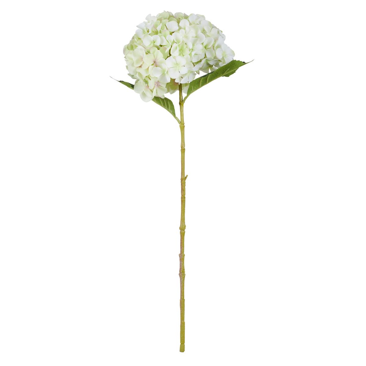 Rogue Hydrangea Stem Grey
