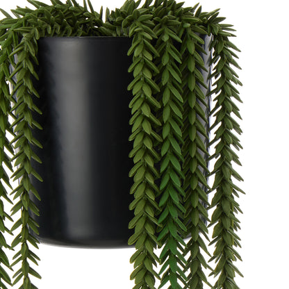 Rogue Princess Pine Garden Pot Green
