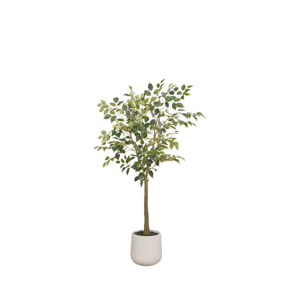 Faux Ficus Tree - White Pot | Green -  150cm