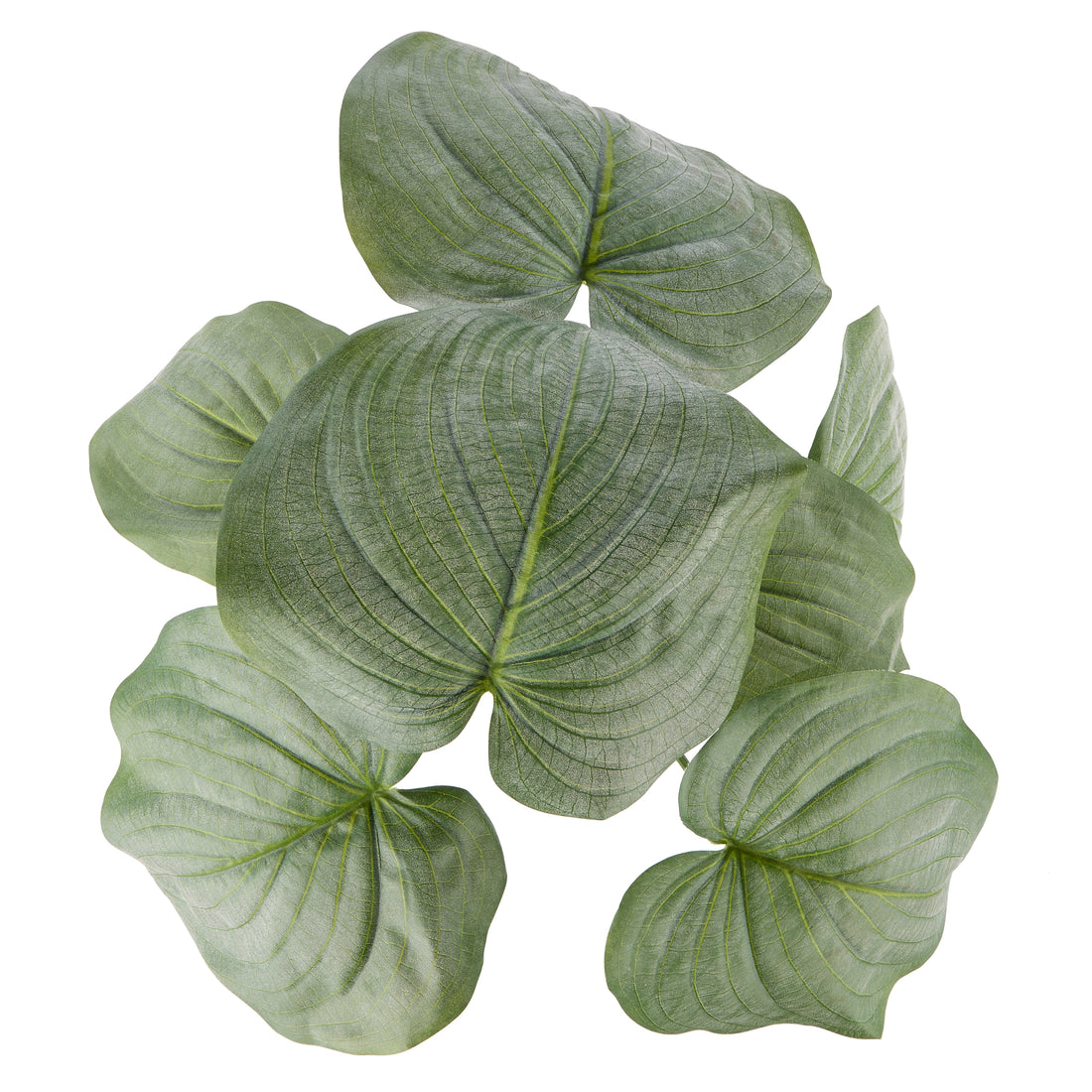 Faux Hosta Plant - Maliah Pot | Cream - 57cm