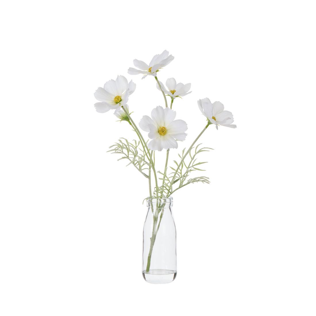 Faux Cosmos - Milk Bottle | White -  35cm