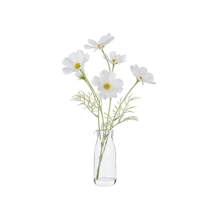 Faux Cosmos - Milk Bottle | White -  35cm