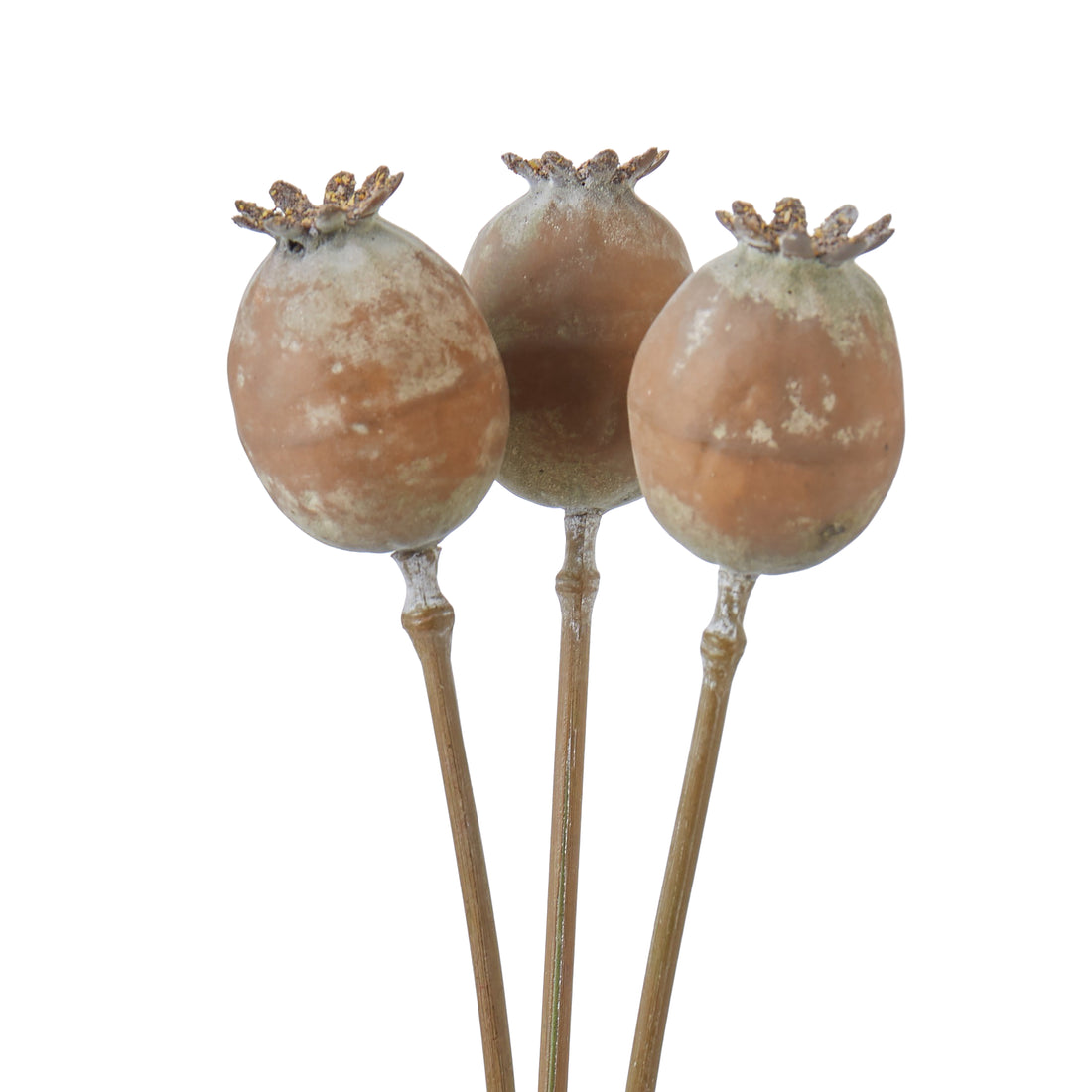 Faux Poppy Seed Bunch | Brown - 51cm