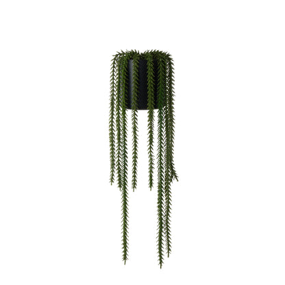 Rogue Princess Pine Garden Pot Green