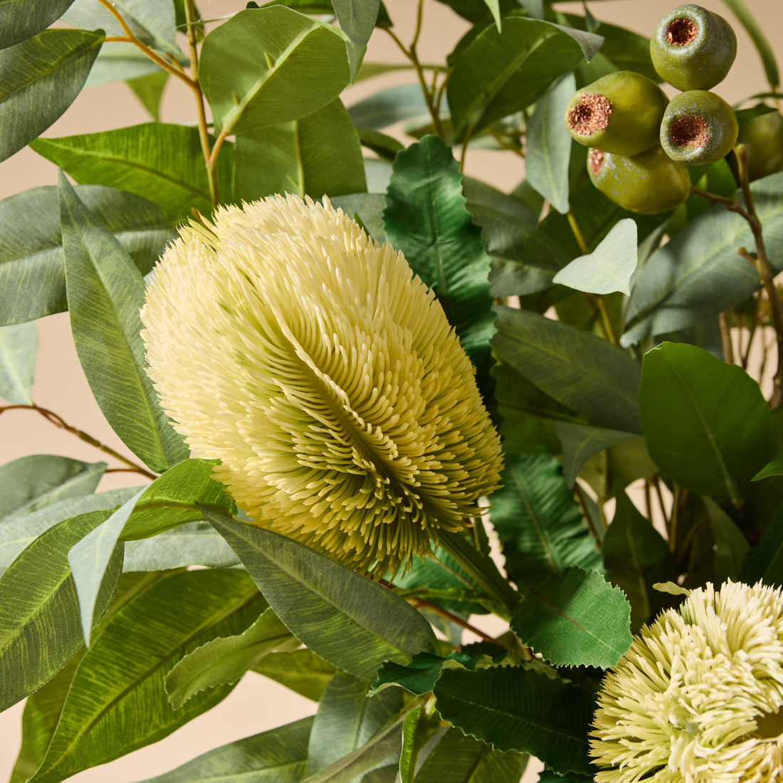 Faux Native Banksia Gum Nut Arrangement - Pauline Vase