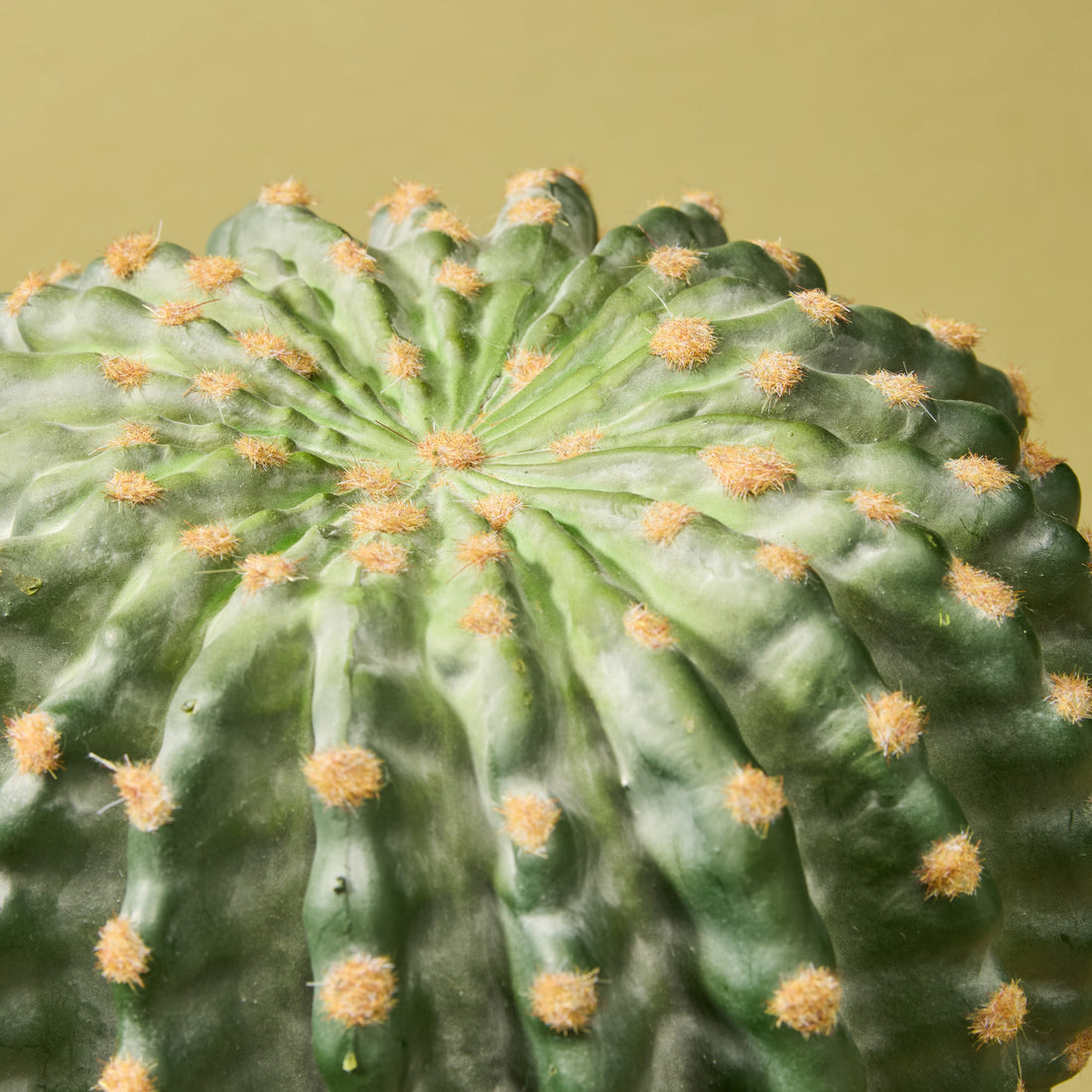 Faux Barrel Cactus | 22cm