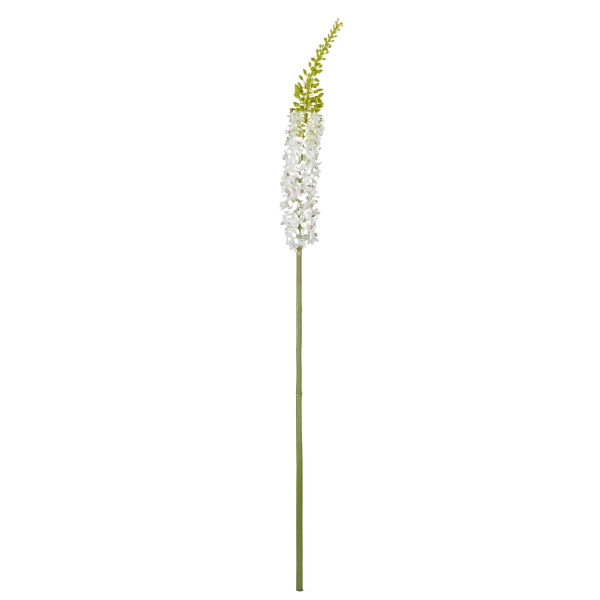 Rogue Foxtail Stem Cream