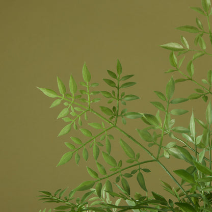 Faux Ficus Tree- Garden Pot | 150cm