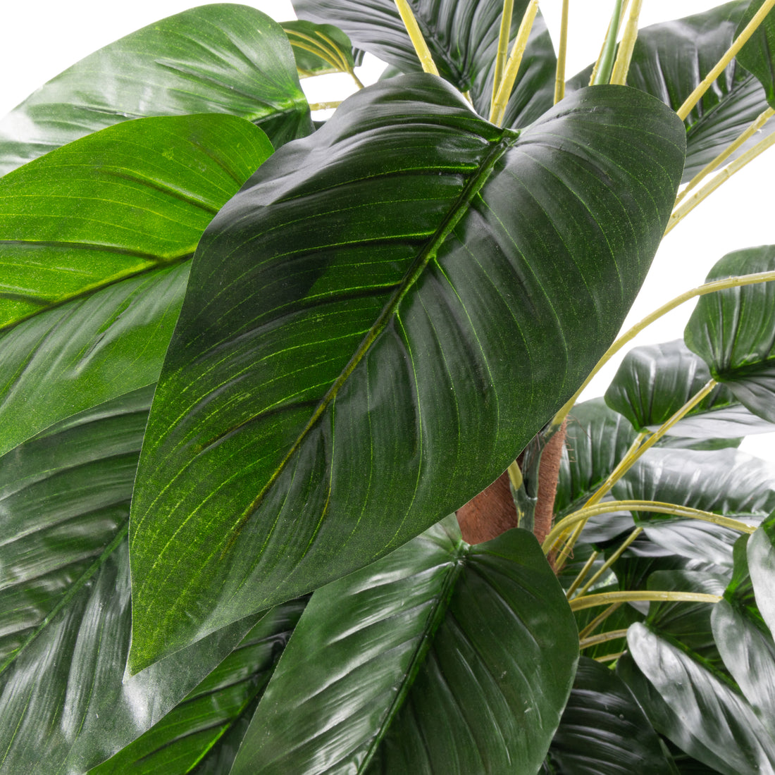 Rogue Philodendron UV - Garden Pot Green