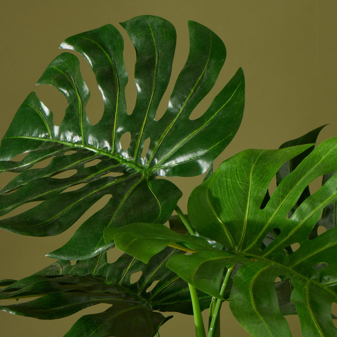 Faux Monstera UV Treated - Garden Pot | 140cm