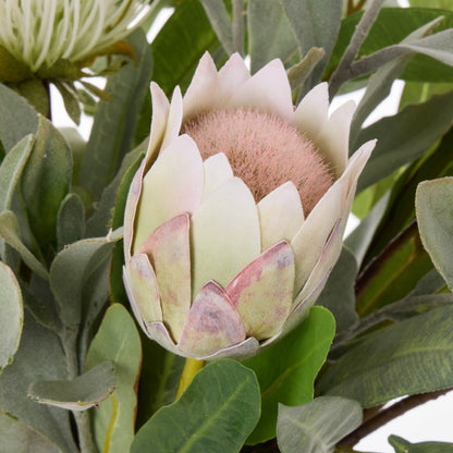 Faux Australis Protea Eucalyptus Mix - Maliah Pot | 58cm