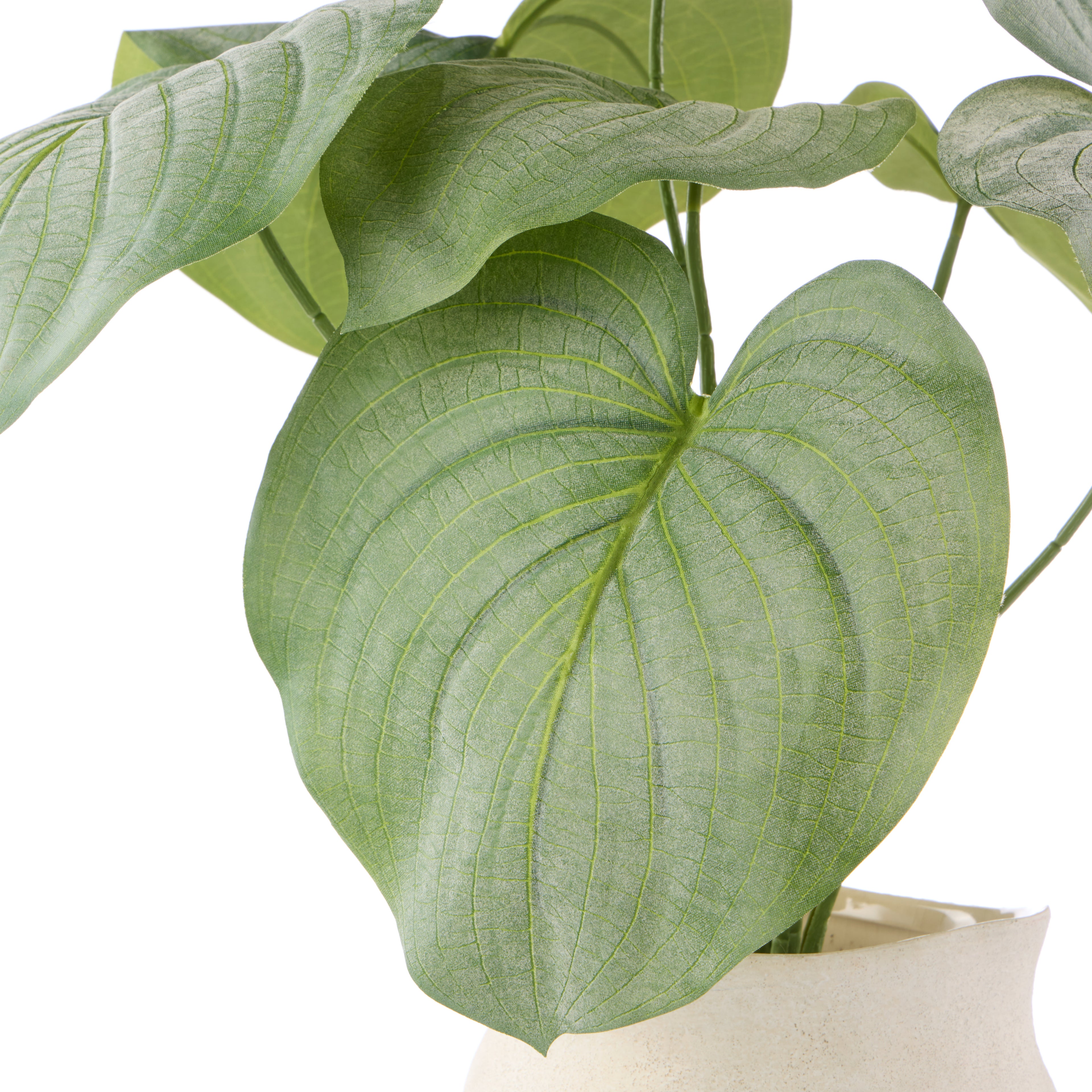 Faux Hosta Plant - Maliah Pot | Cream - 57cm
