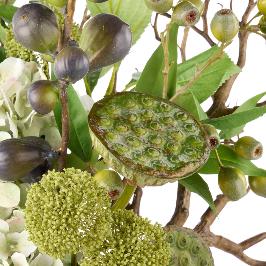 Rogue Hydrangea Lotus Pod Fig Mix - Maliah Pot Green