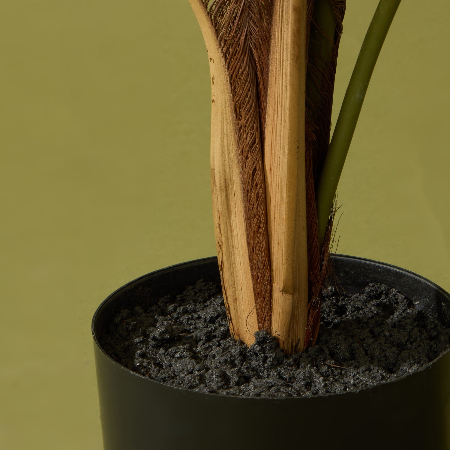 Faux Caryota Palm Tree - Garden Pot | 90cm