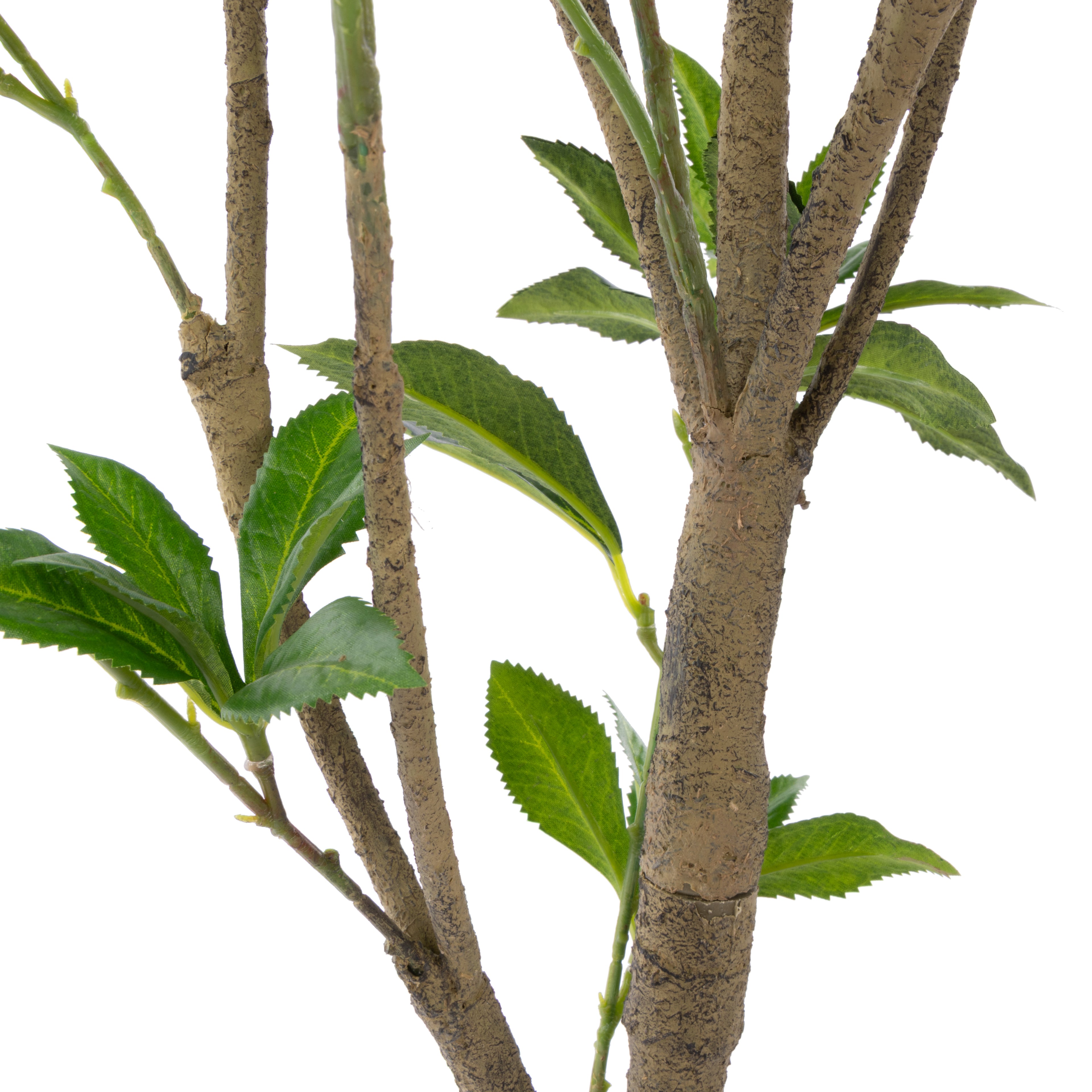 Rogue Japonica Tree UV - Garden Pot Green