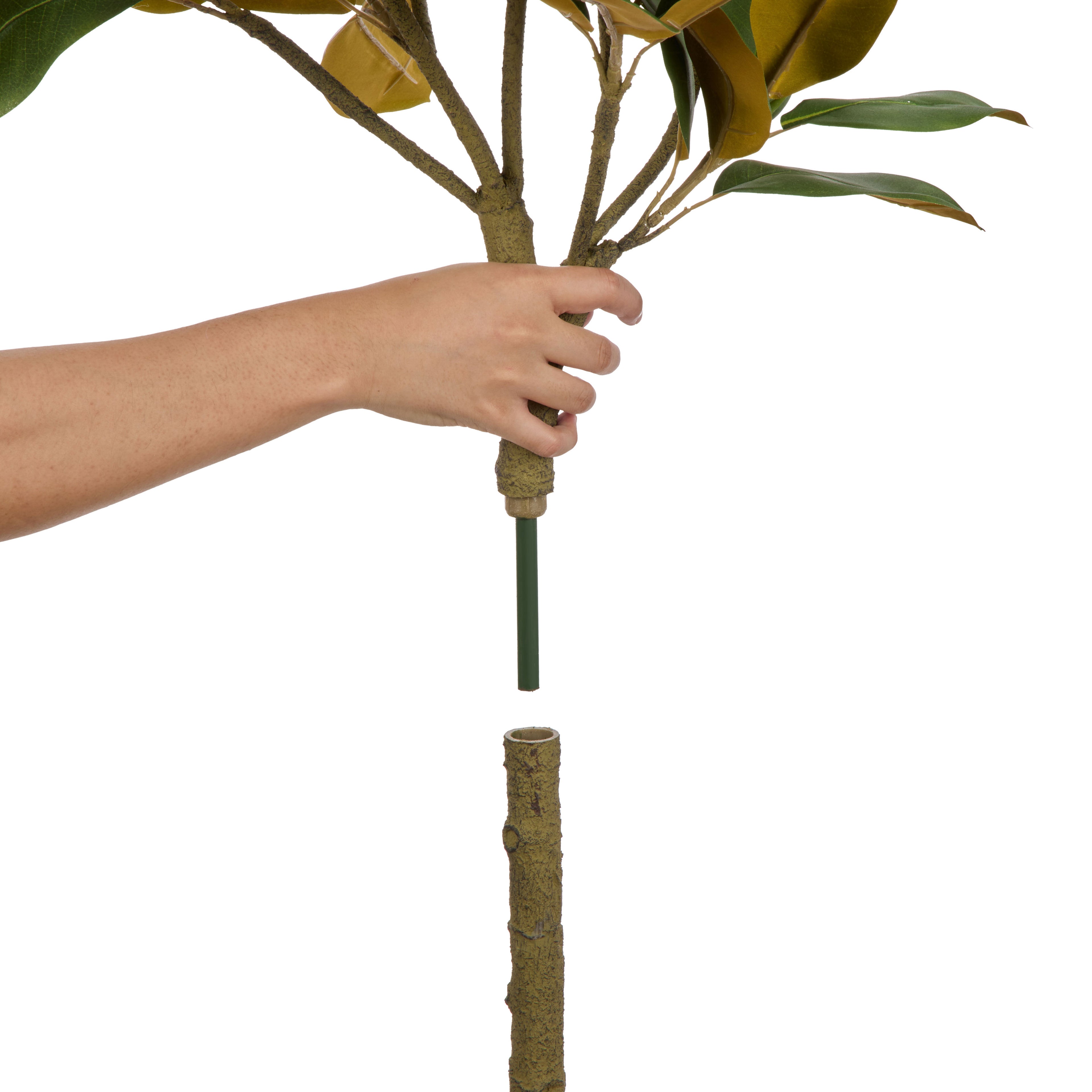 Faux Magnolia Tree Pot | Green -  150cm