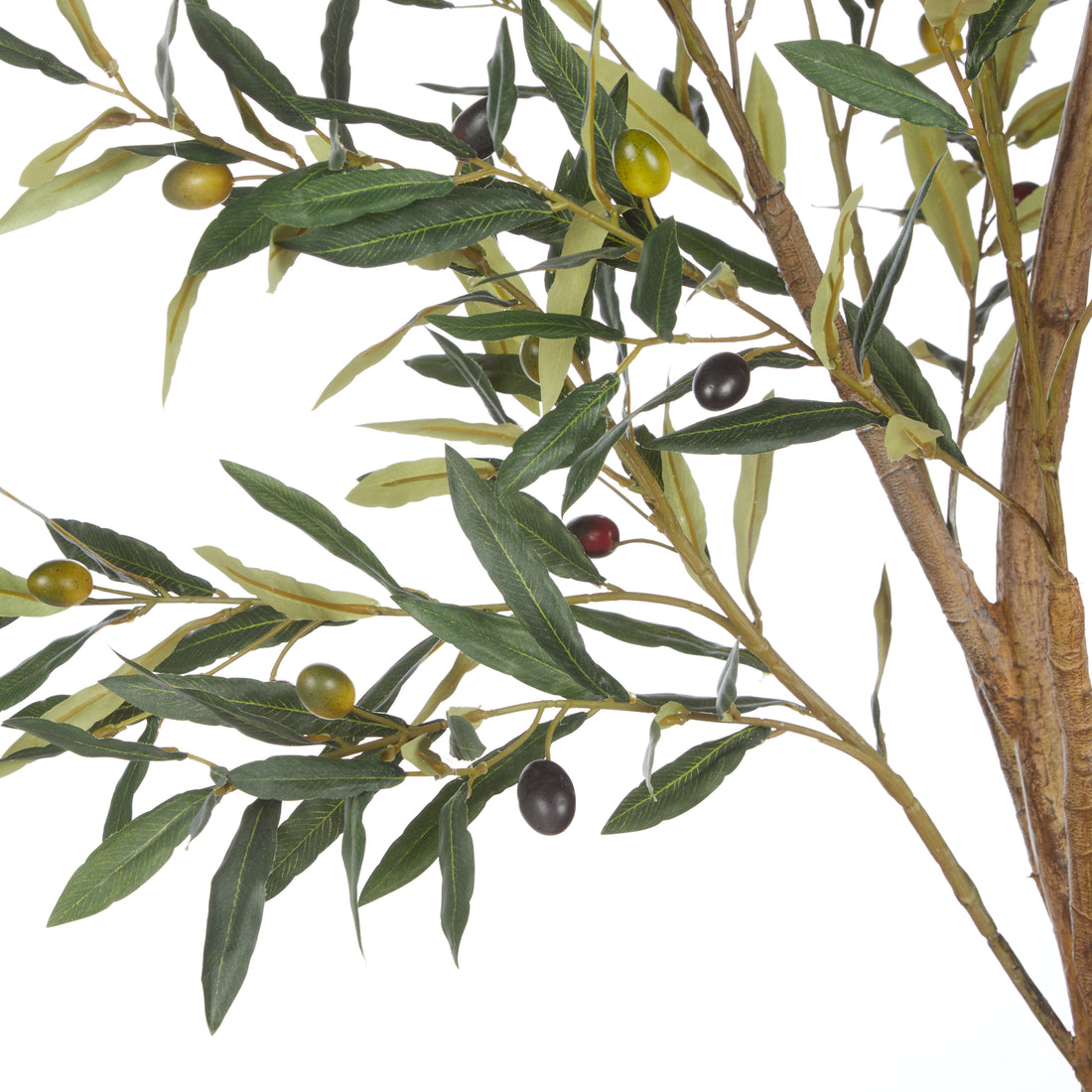 Rogue Olive Tree - Trillium Planter Green