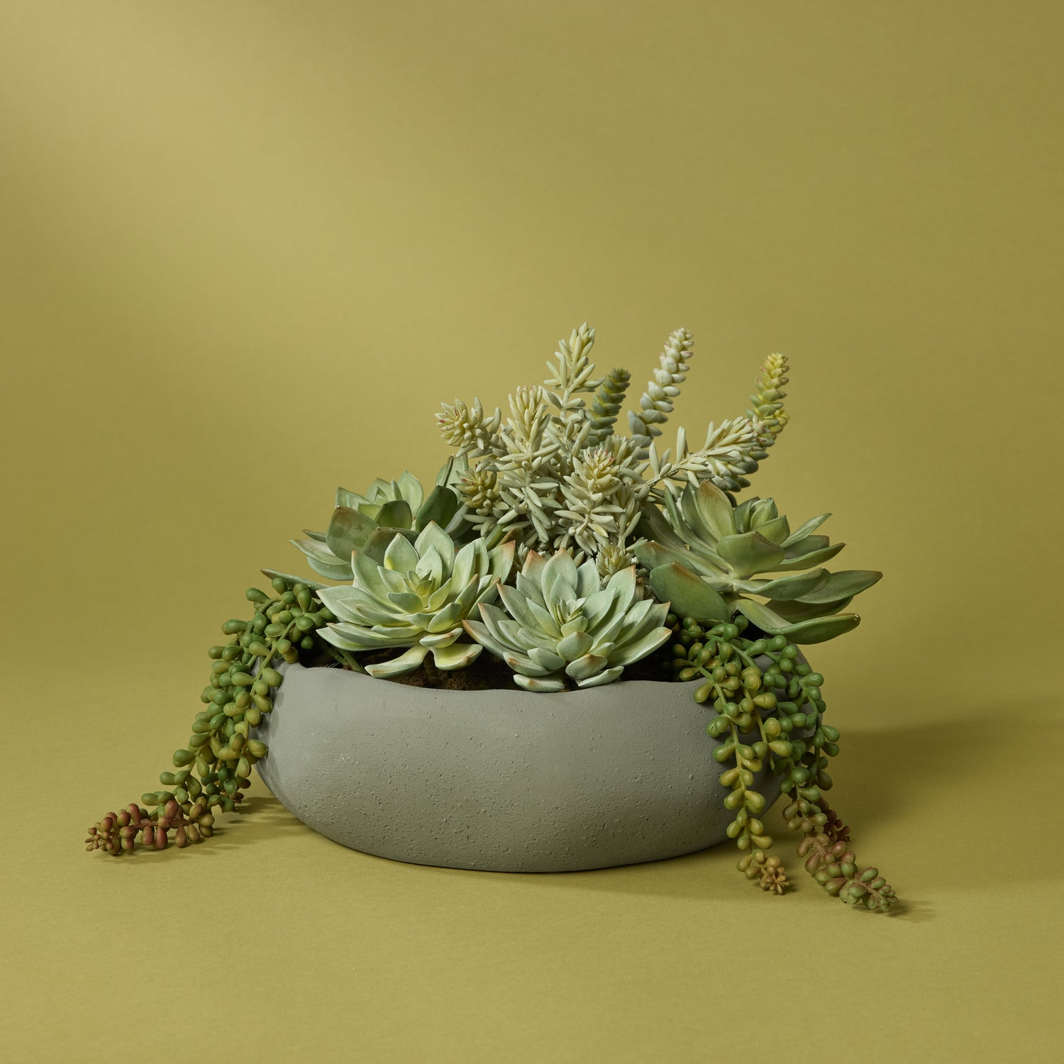 Faux Succulent Garden - Lyon Bowl Planter | Grey - 27cm