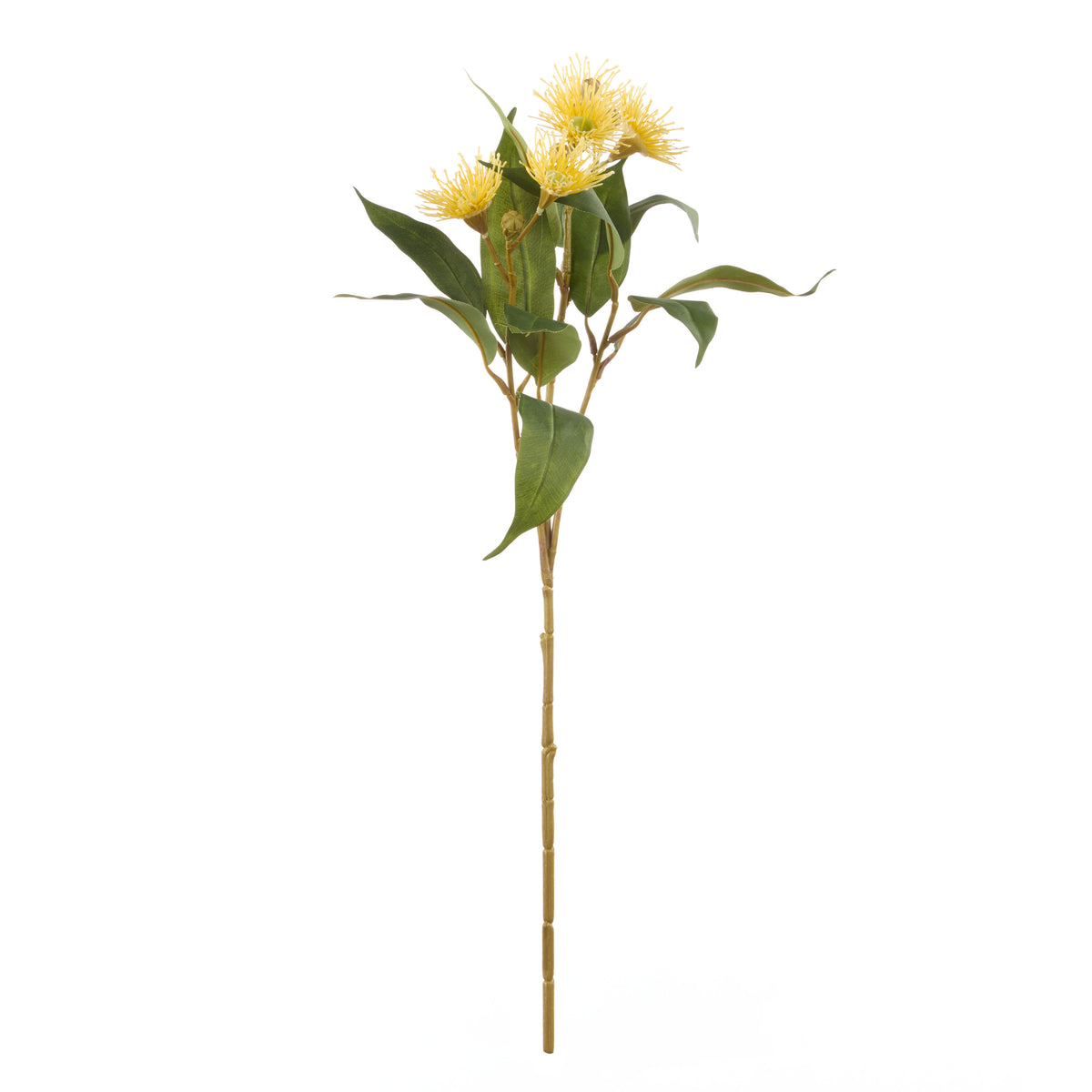 Rogue Eucalyptus Flower Spray Yellow