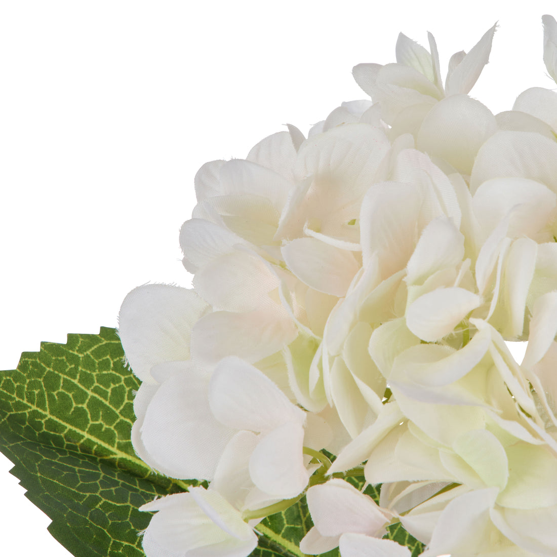 Rogue Hydrangea Stem White