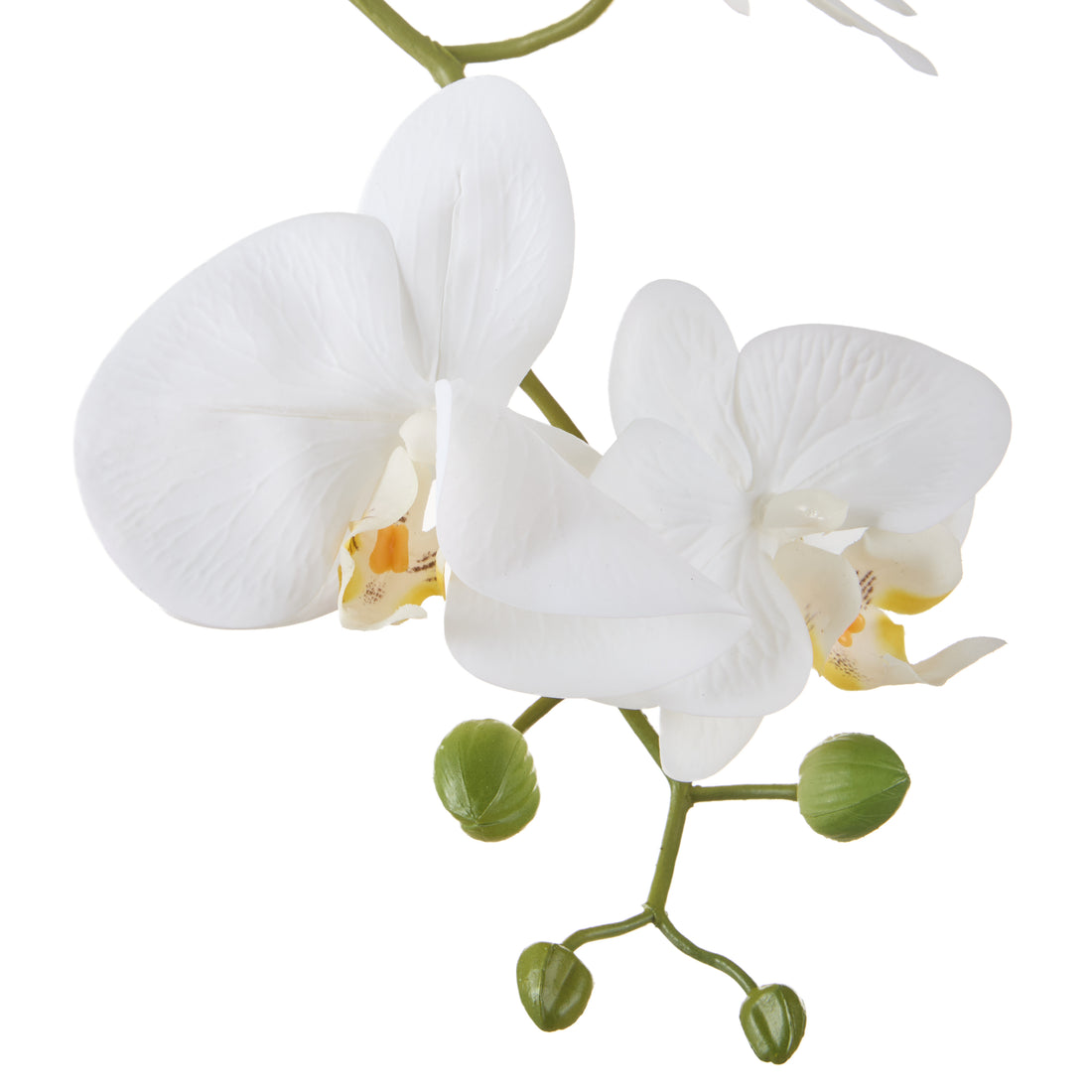 Faux Phalaenopsis Orchid - Ribbed Pot | White - 150cm