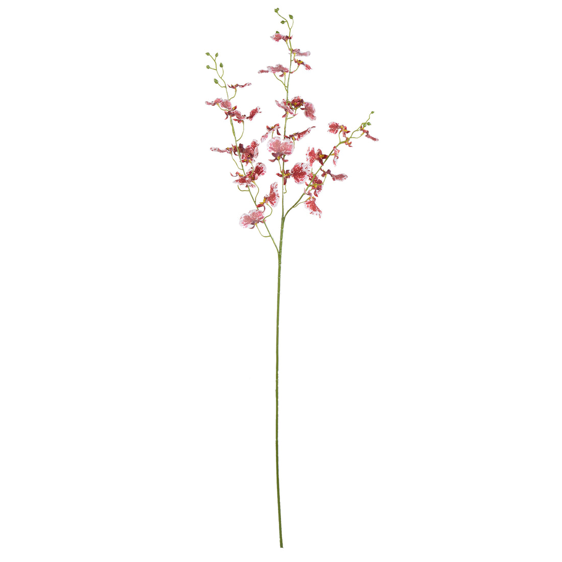 Faux Dancing Orchid Spray | Burgundy - 98cm