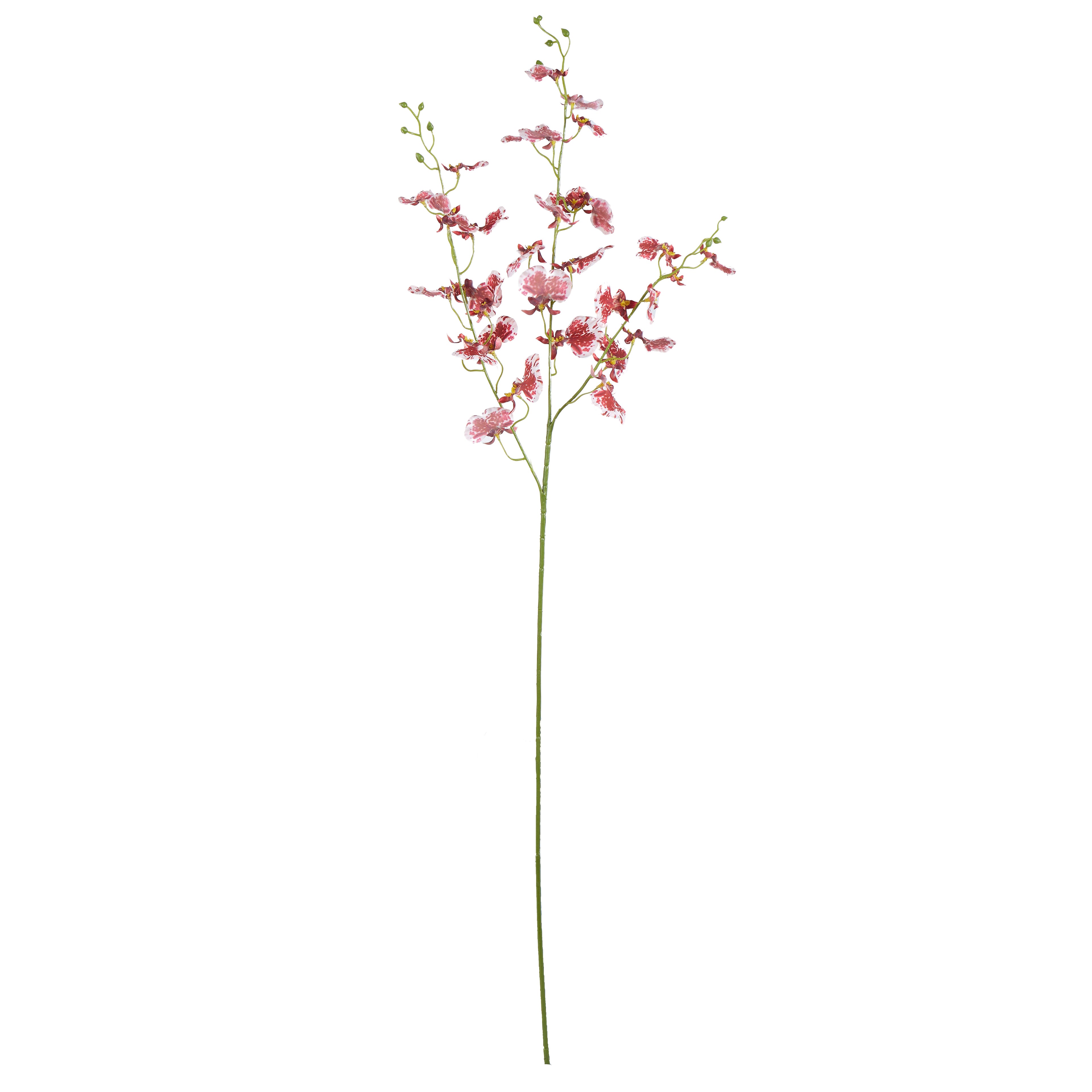 Faux Dancing Orchid Spray | Burgundy - 98cm