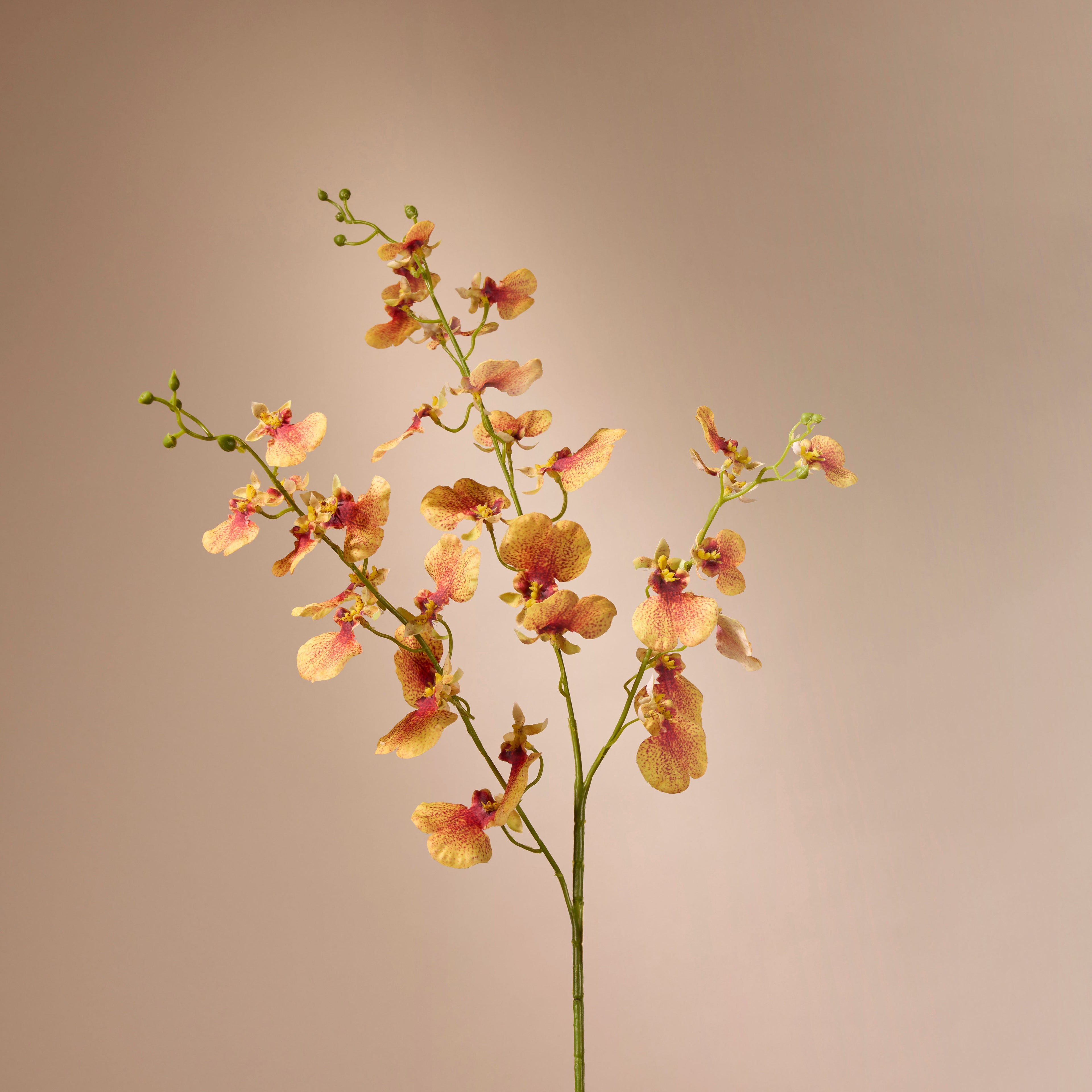 Faux Dancing Orchid Spray | Orange – 98cm