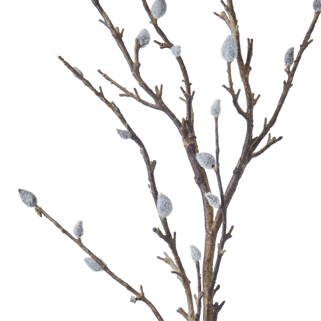 Faux Pussy Willow Spray | 107cm
