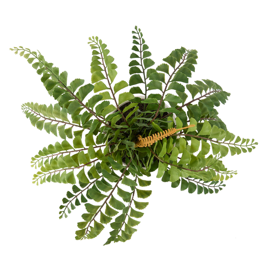 Faux Jewel Fern - Gianna Pot | White - 24cm