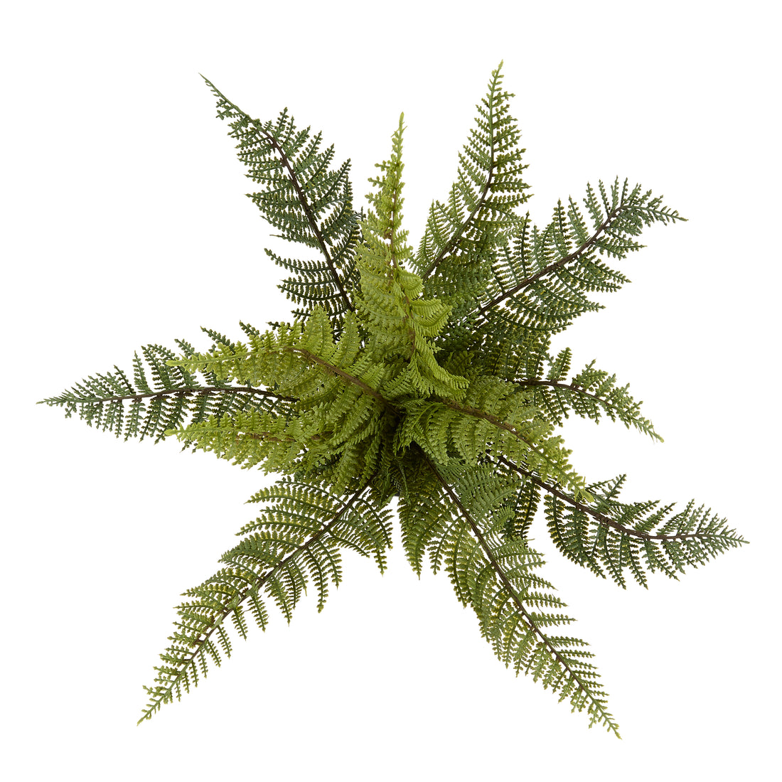 Faux Leatherleaf Fern - Garden Pot | 33cm