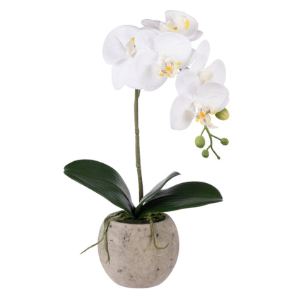 Faux Phalaenopsis Orchid - Cream Pot | 48cm