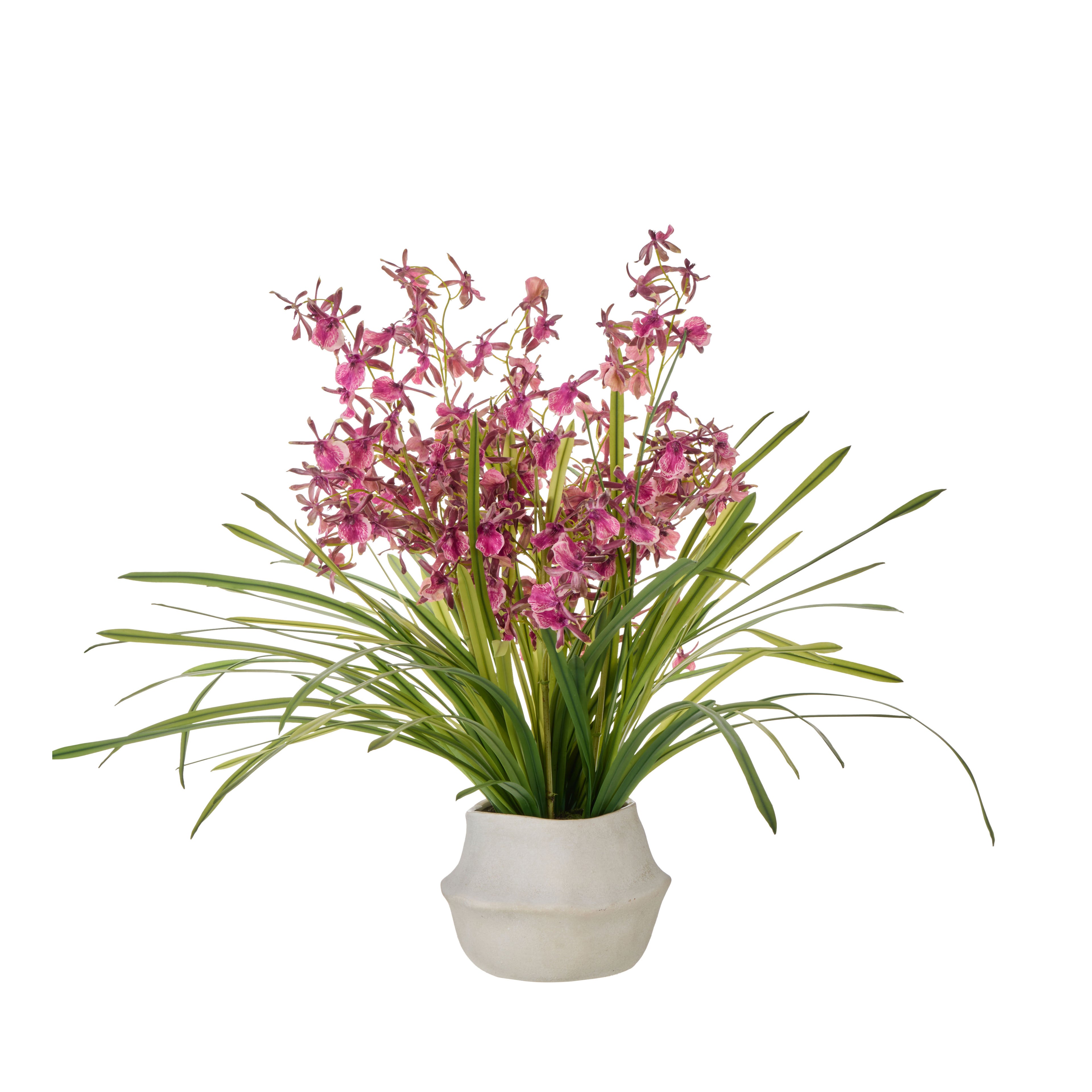 Faux Dendrobium Plant - Maliah Pot | Burgundy -  70cm